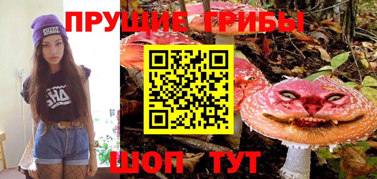 Галлюциногенные грибы мицелий Советск